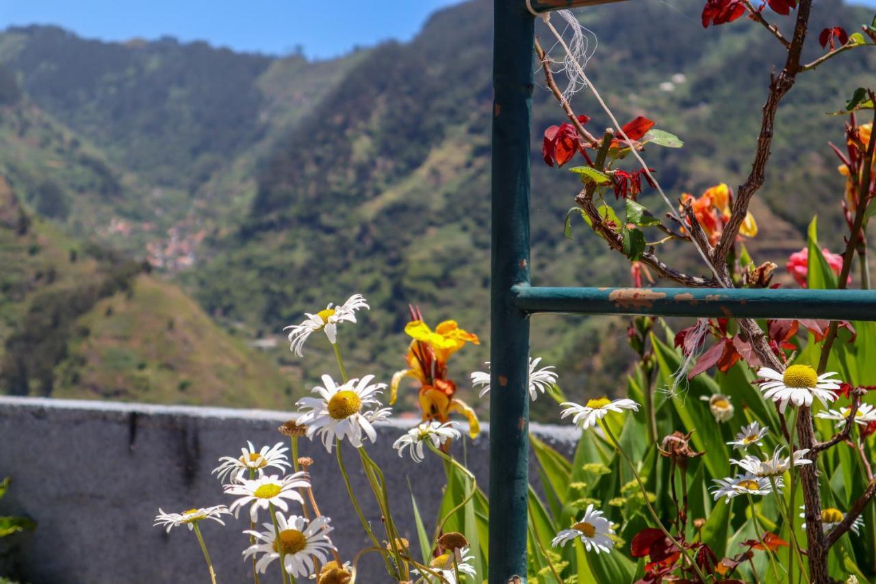 Casas Tipicas Candelaria Tabua ポンタ・ド・ソル エクステリア 写真